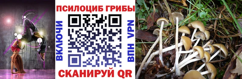 Псилоцибиновые грибы мицелий  Абдулино 